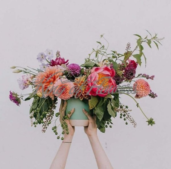 цветочная лавка латирус