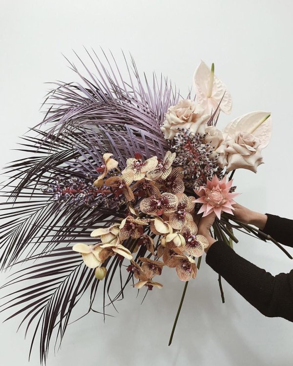 пальма сухоцвет