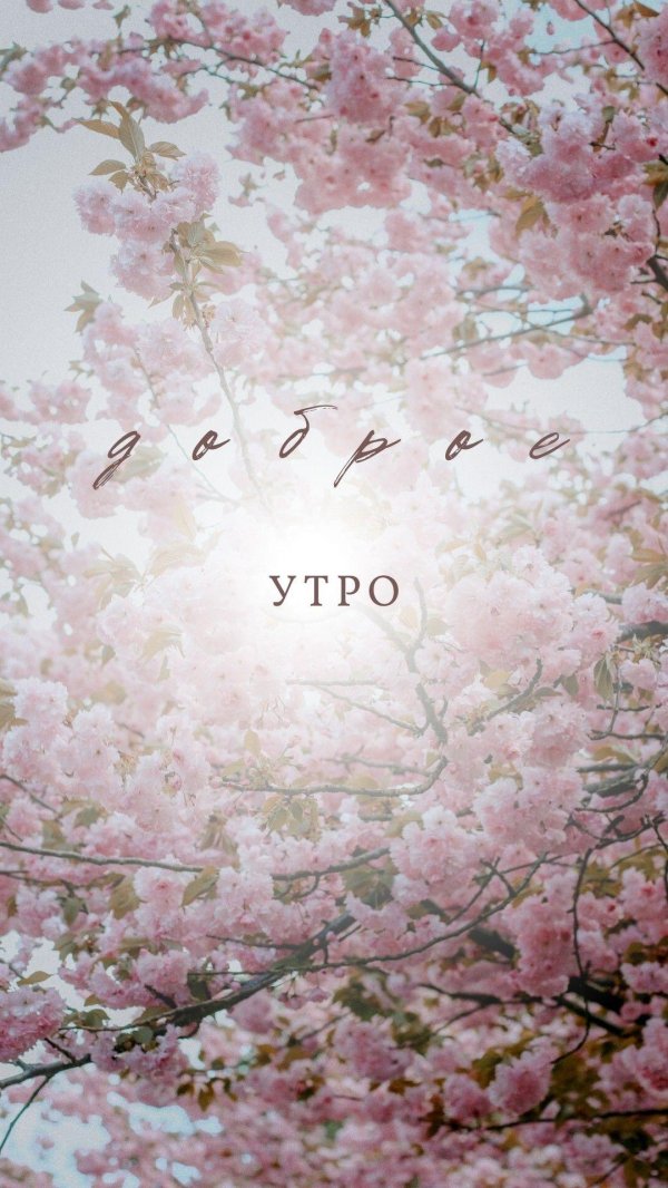 утро весна