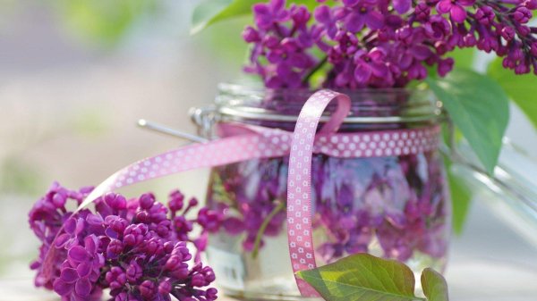 сирень цветки