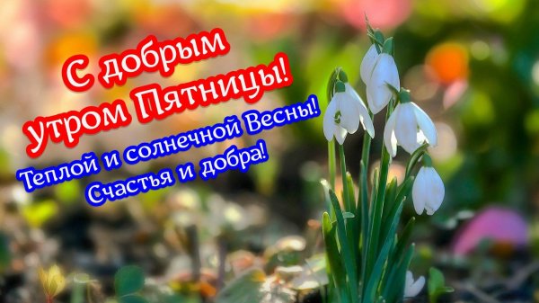 добрейшего утра пятницы