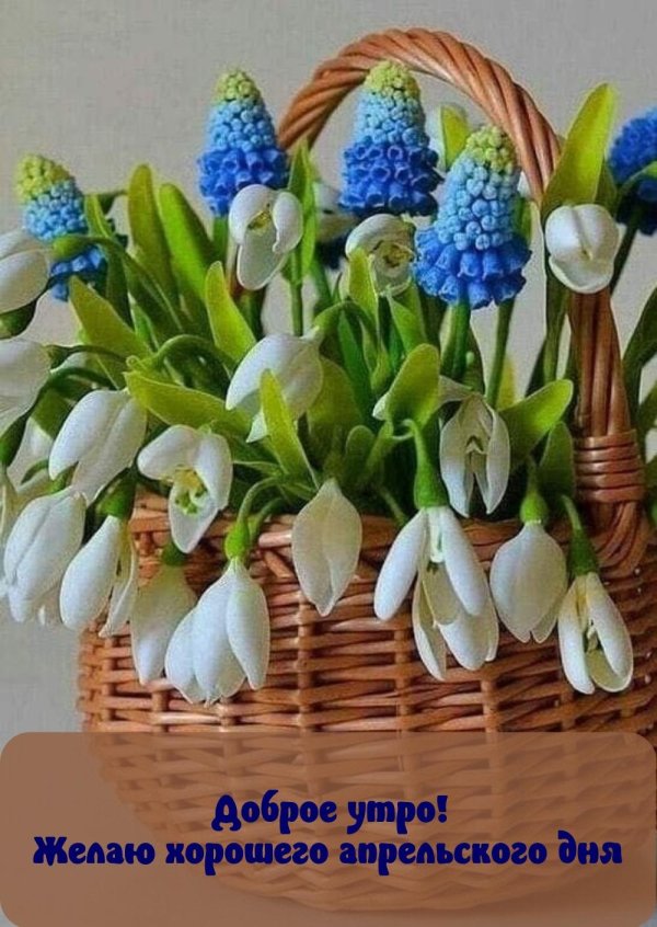 мускари подснежники