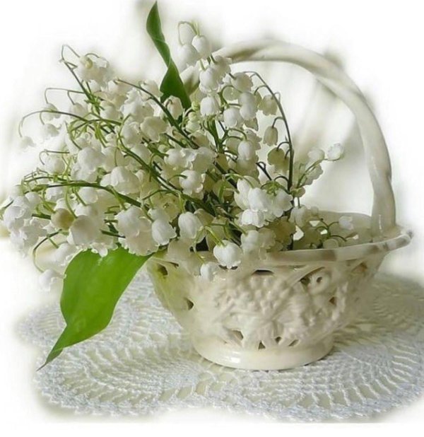 весенний ландыш