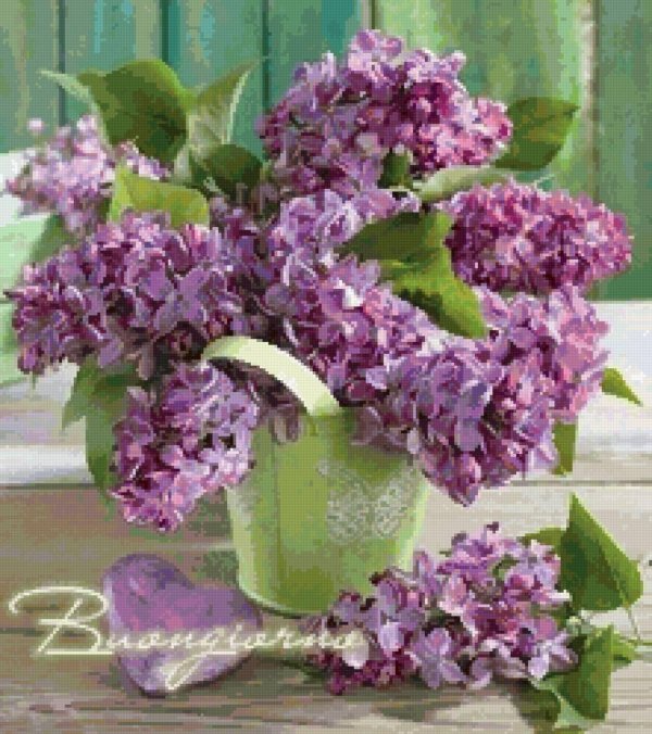 картины сирень