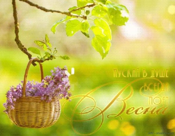 красивая весенняя открытка
