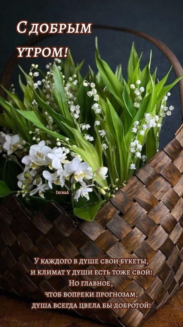 ландыши цветок