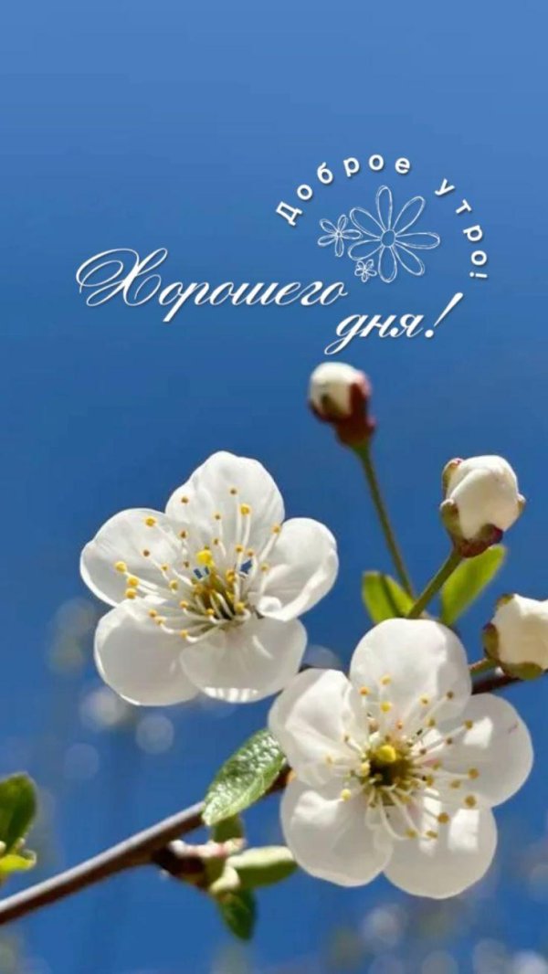доброго весенненнго дня