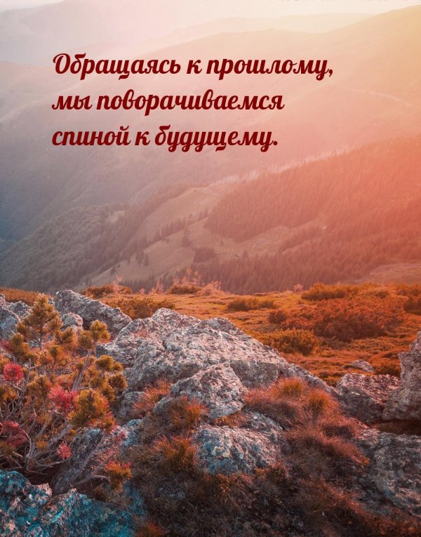 мудрая цитата