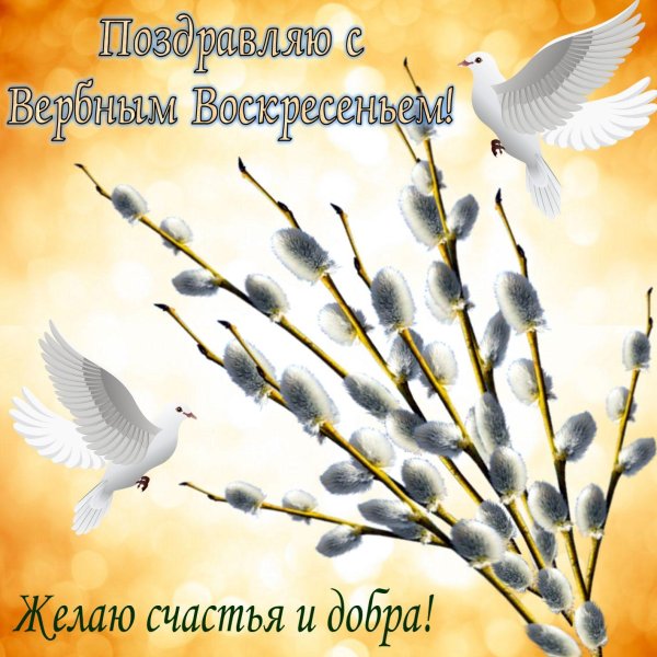 с вербным воскресеньем поздравления