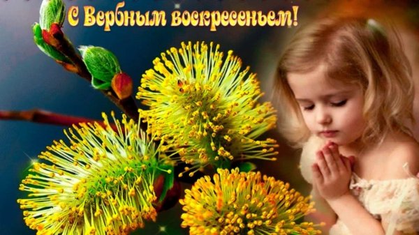 открытка с вербным воскресеньем