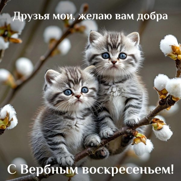 с вербным воскресеньем