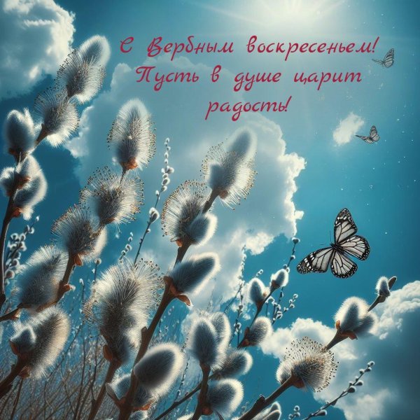 открытка с вербным воскресеньем