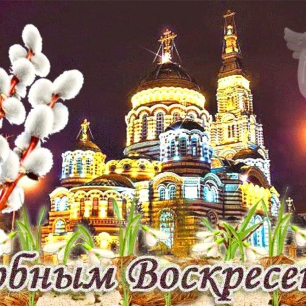 открытка с вербныи воскресенье