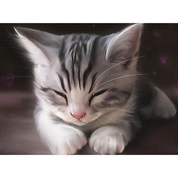 котенок красивый