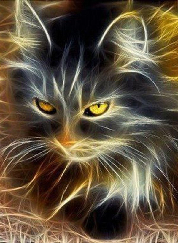 огненный котенок