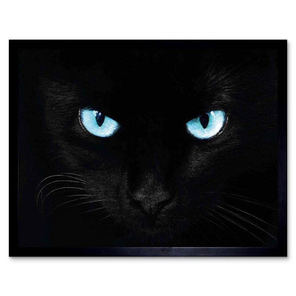 глаза черной кошки