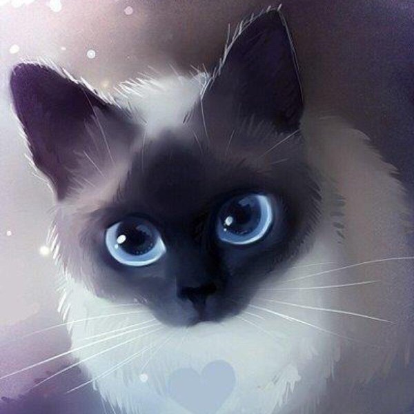 рихард донскис