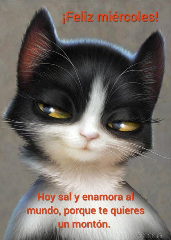 арт котенок