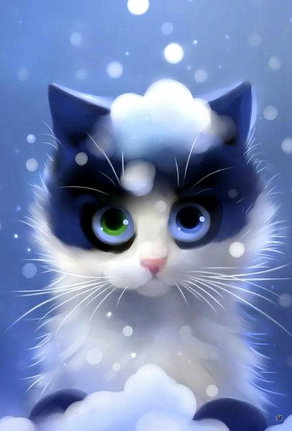 художника rihards donskis apofiss