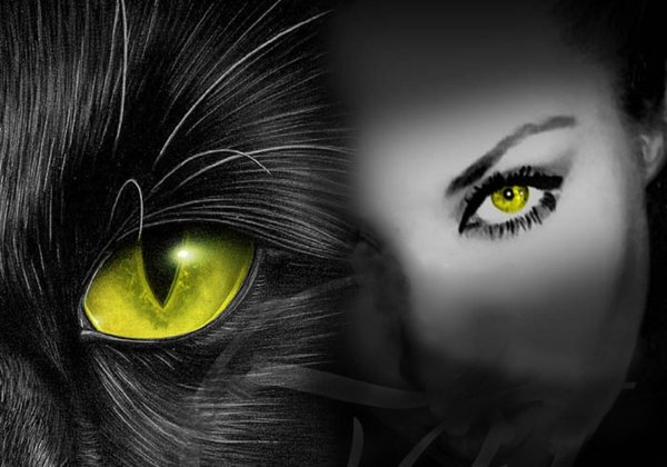 глаза пантеры