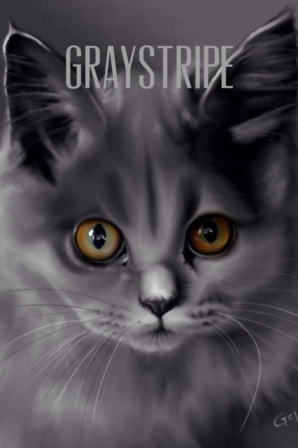 котики серые