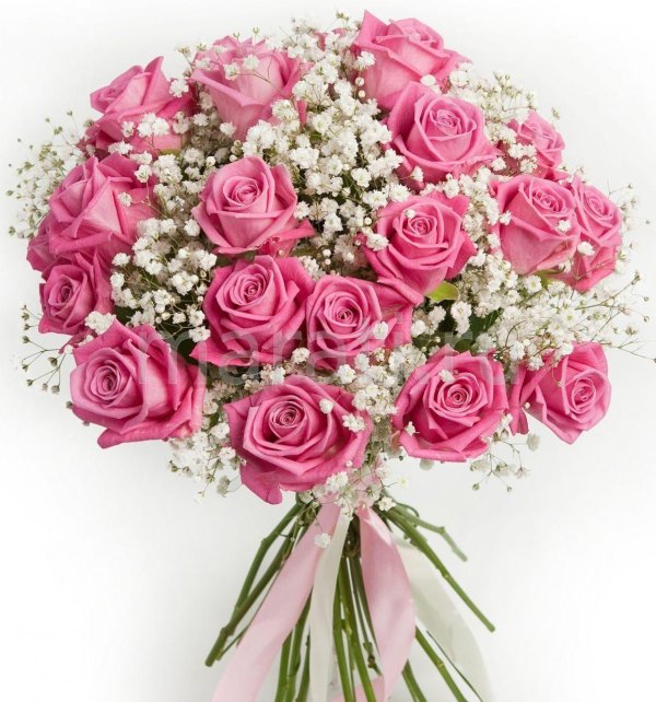 цветы и букеты