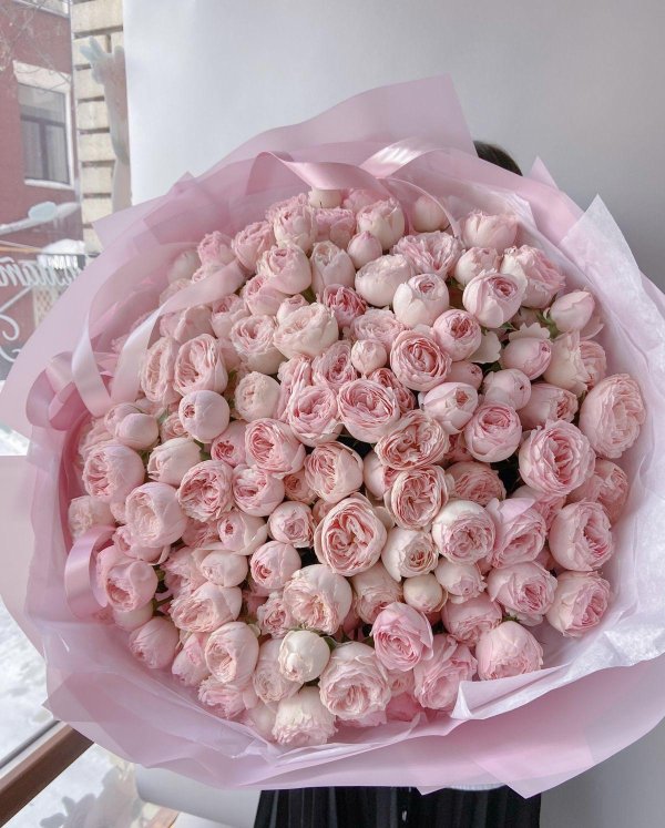 пионовидные розы мэнсфилд парк