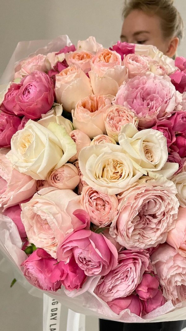 пионовидные розы juliet