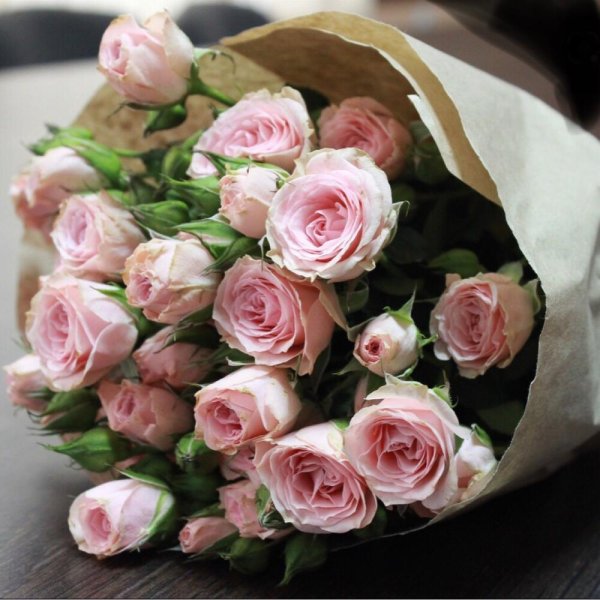 розовая кустовая роза