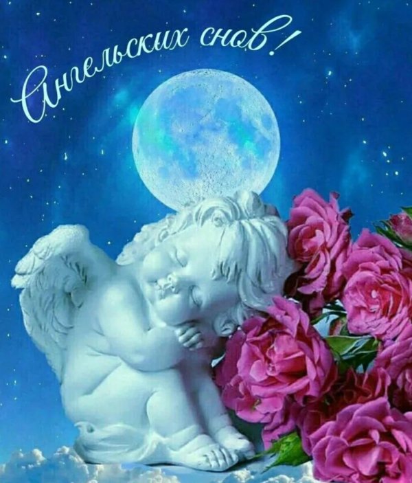 сладких снов доброй ночи
