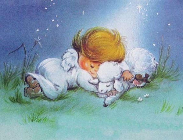 сладких летних снов