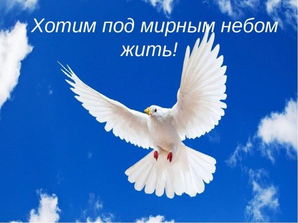 мирного неба над головой