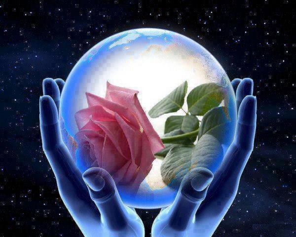 жива планета