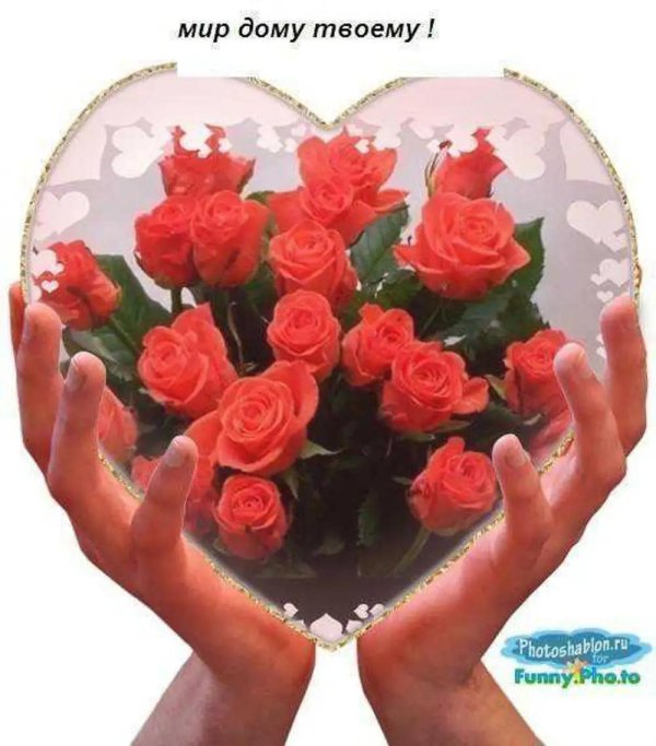 открытка для тебя цветы