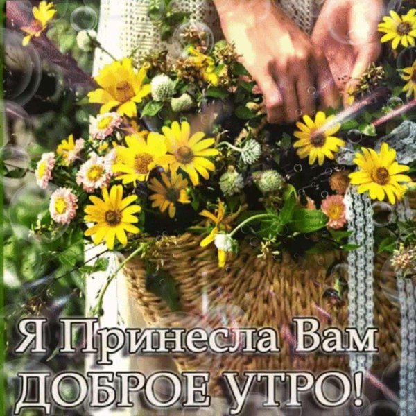 благословенного летнего утра