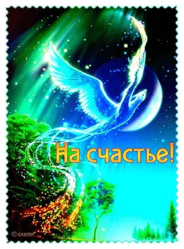 сказочная птица