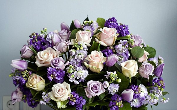 эустома rosie lilac