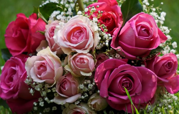 букет из красивых роз