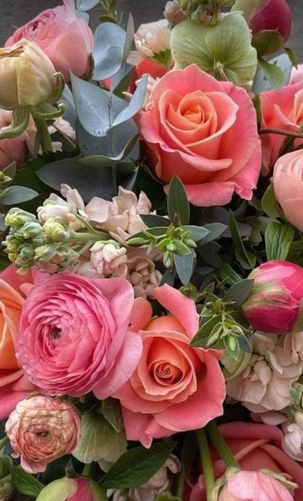 цветочные букеты