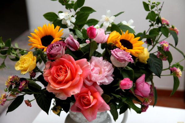 цветы букеты композиции