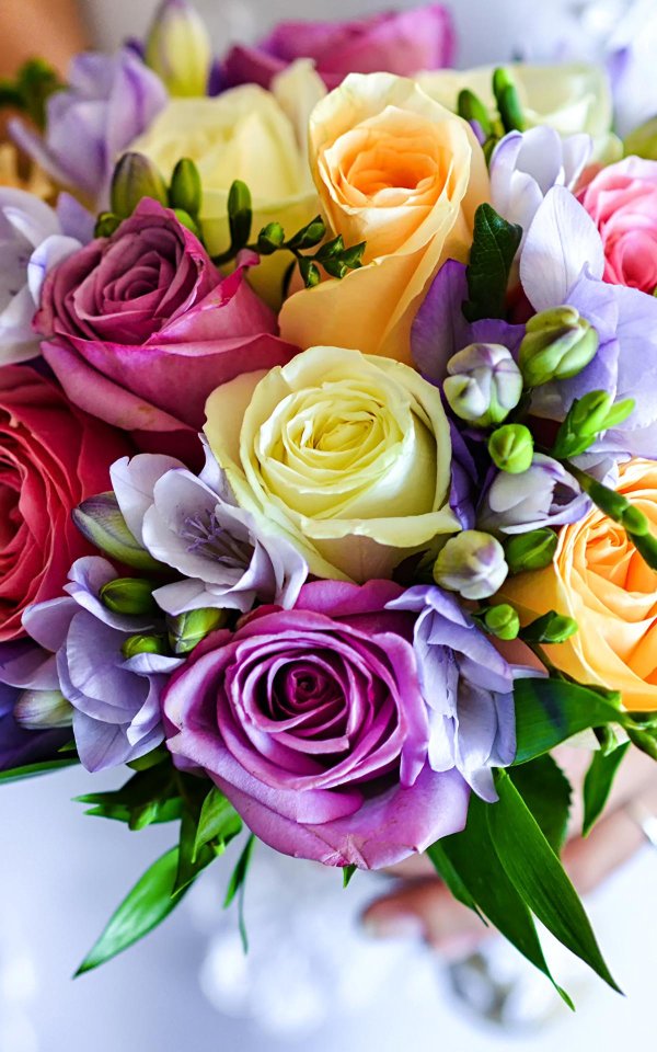 красивая букет