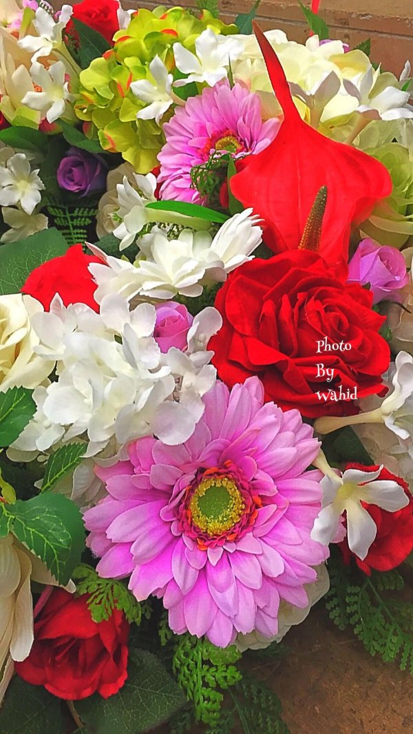 яркие цветы