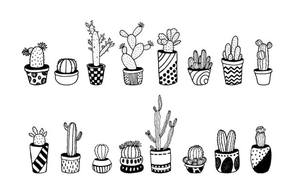 раскраски кактусы милые