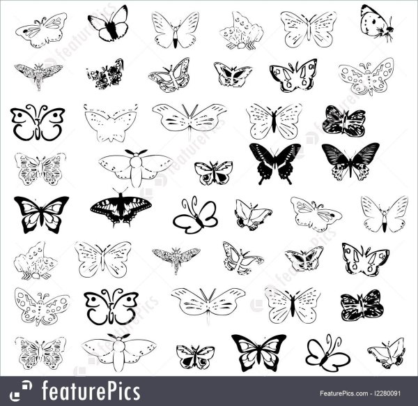 рисование бабочки