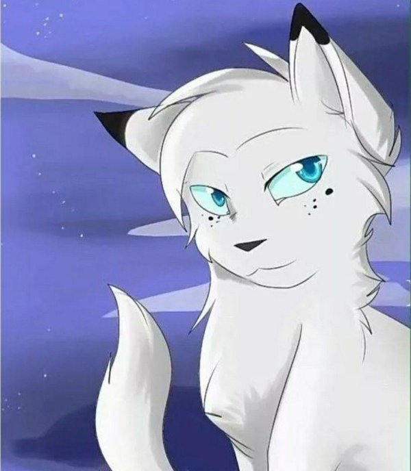 коты воители смерть белогривки