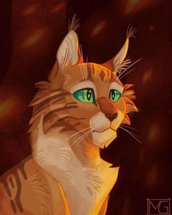 огнезвезд арты