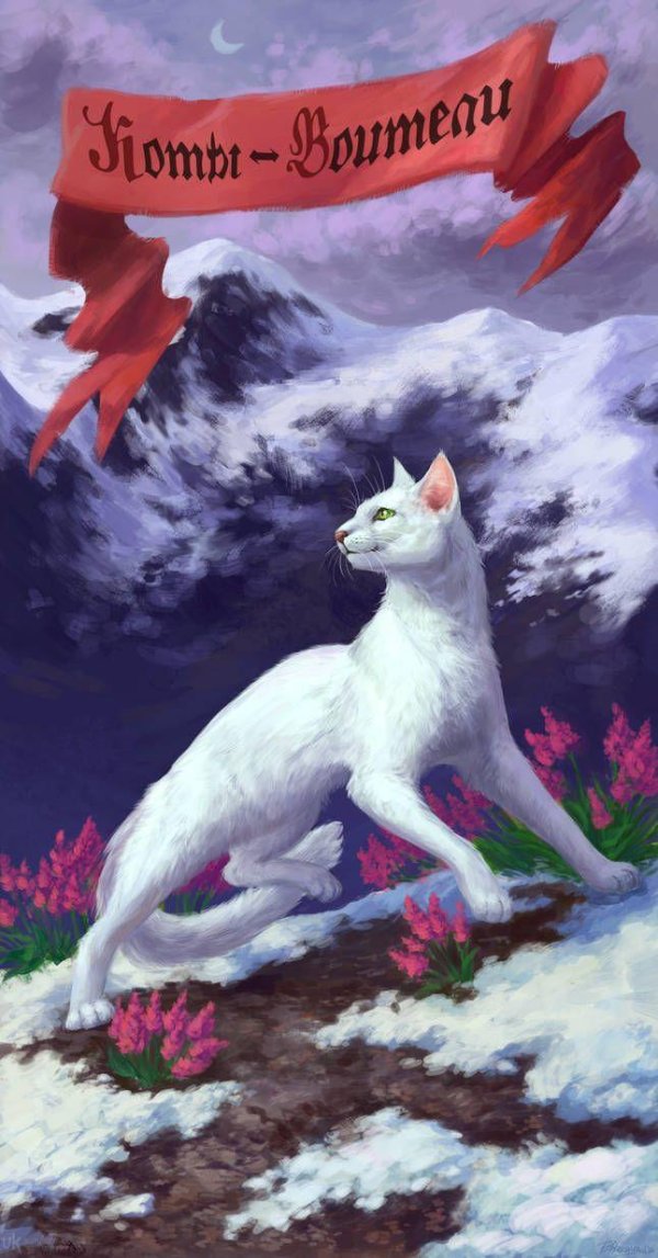 кот воители