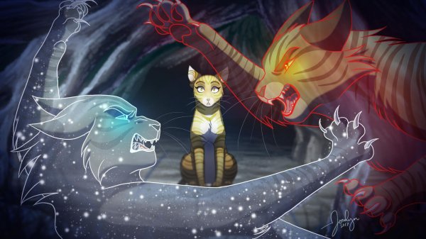 коты воители битва