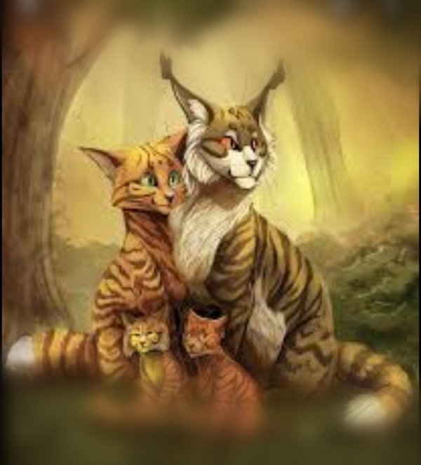 кот воители