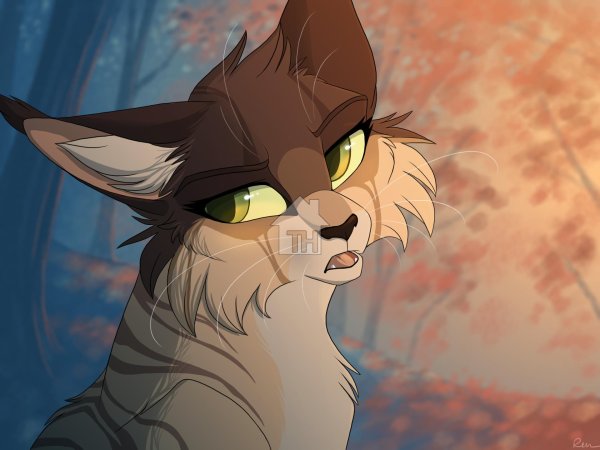 персонажи котов воителей